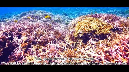 48- Fetih Sûresi / The Victory (Ahmet el Acemi) HD