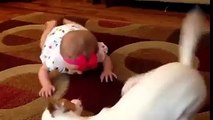 Cute Baby & Cute Dogy