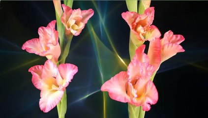 Alan Watts the real you