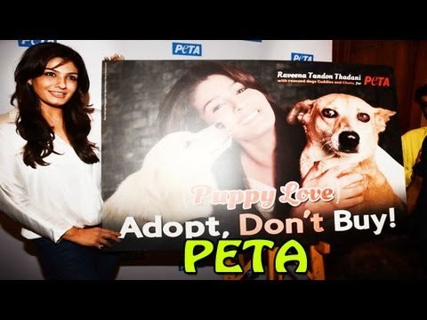 Raveena Tandon Launches PETA Gog Adoption Campaign