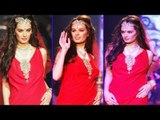Red Hot Beauty Evelyn Sharma Sexy Attitute Look On Ramp