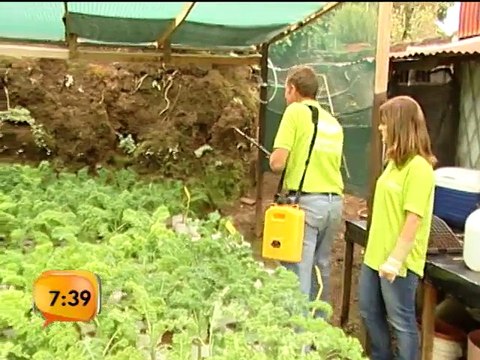 Emprendedor demuestra que no necesita mucho espacio para cultivar sus propios alimentos