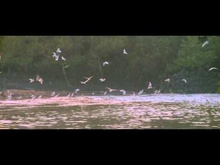 Fox Star Quickies : City Lights - Itna Time Lagayenge Aap?