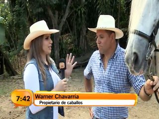 Recomendaciones si va a montar caballo por primera vez