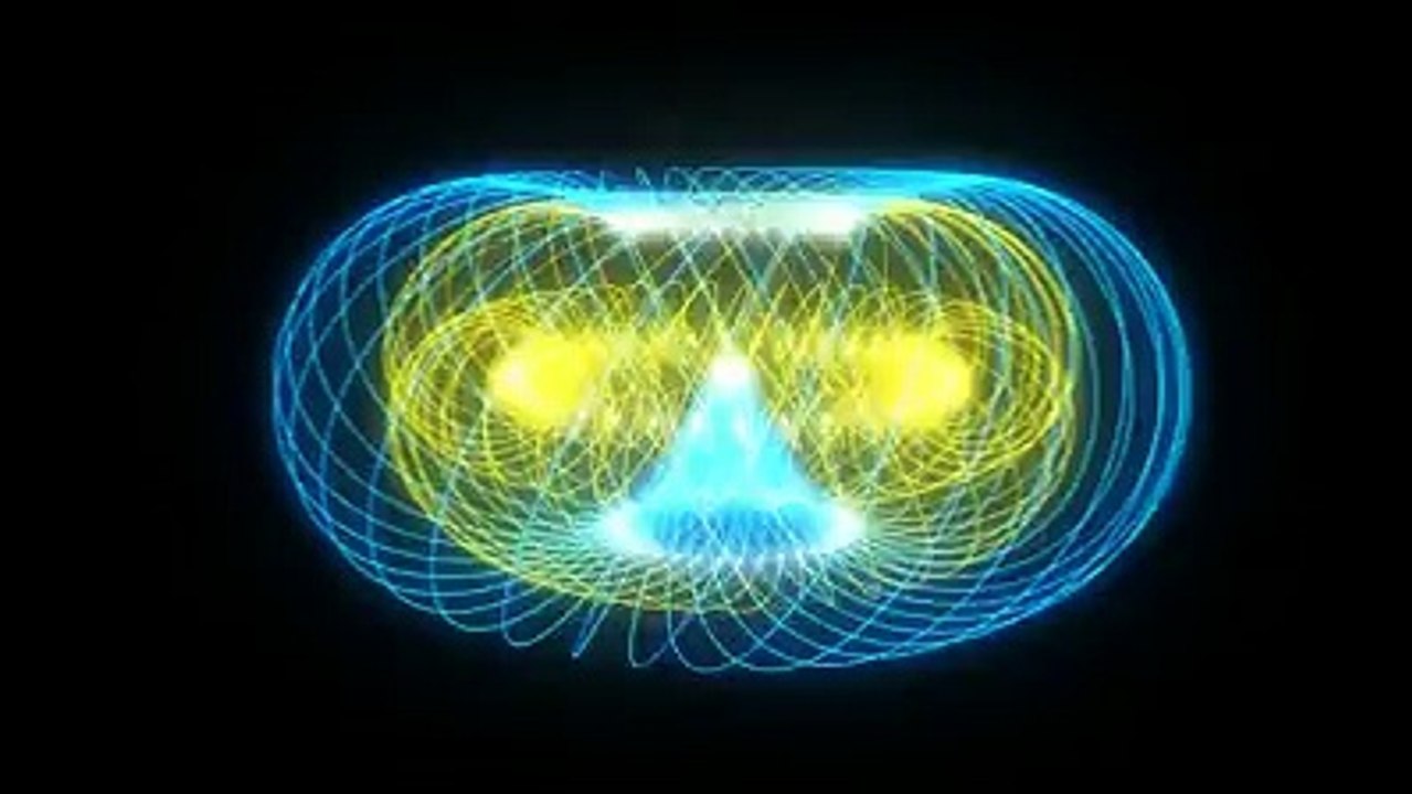 (1) Whorled View-3
