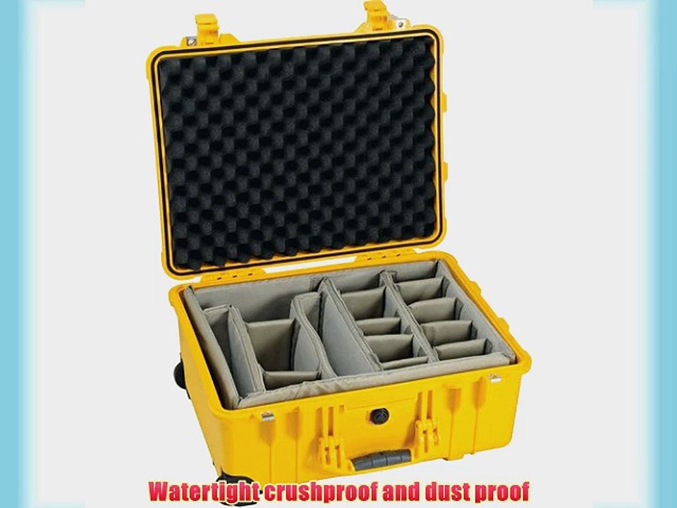 1560 - Case 20.37X15.43X9In Yel W/Div