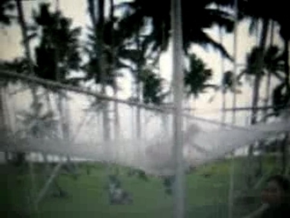 Trapeze forward over