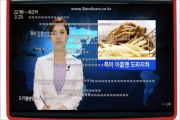 【放送事故】 韓国のニュース番組 女性アナの笑い止まらず、男性アナもつられて噴き出す