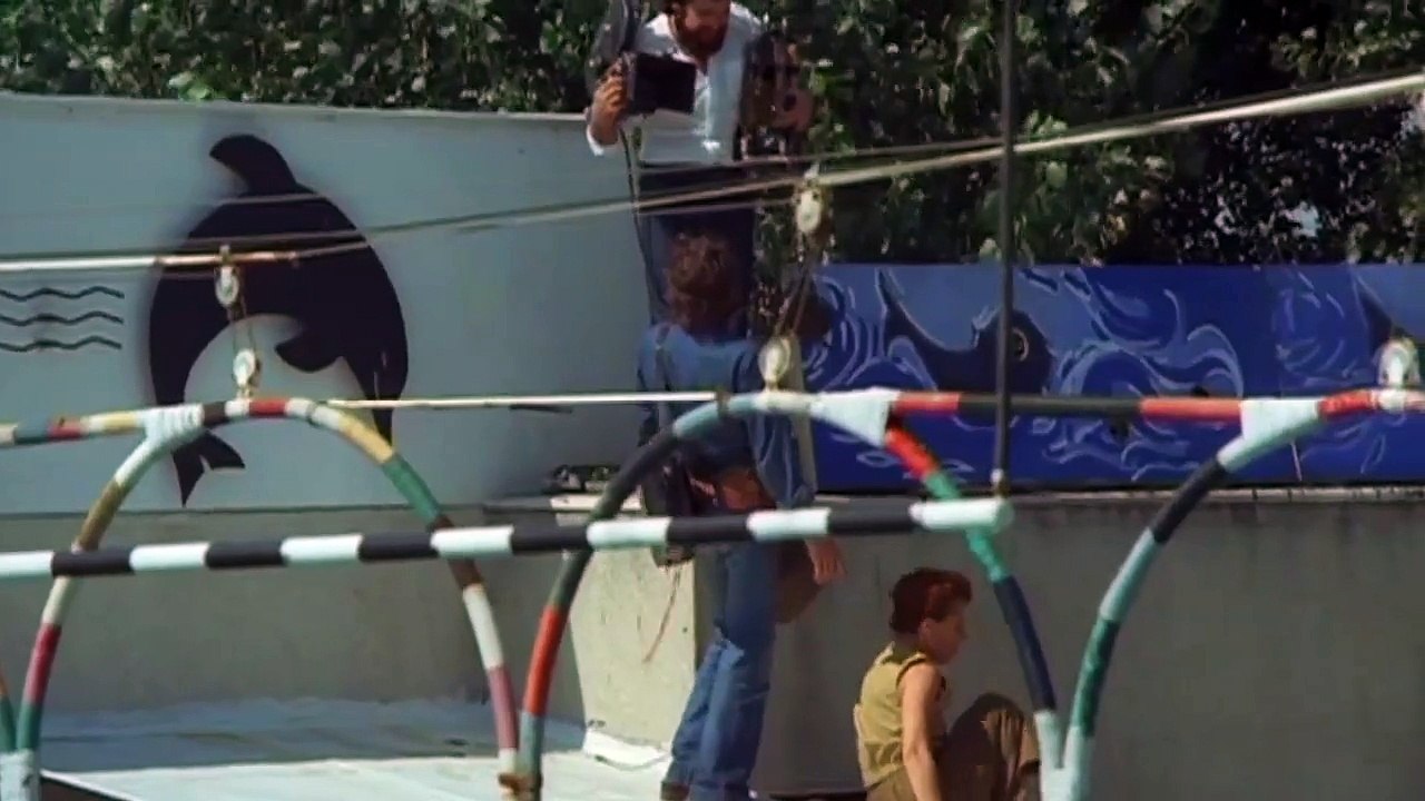 Proba de microfon [1980]