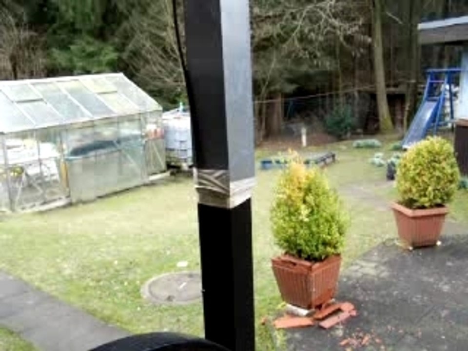 Wohlerzogene Kaninchen