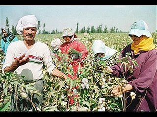 هتروق و تحلى - سعاد مكاوى