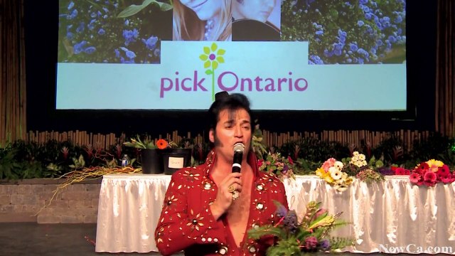 NewCa.com: 2015 Canada Blooms. Flowers and Gardens