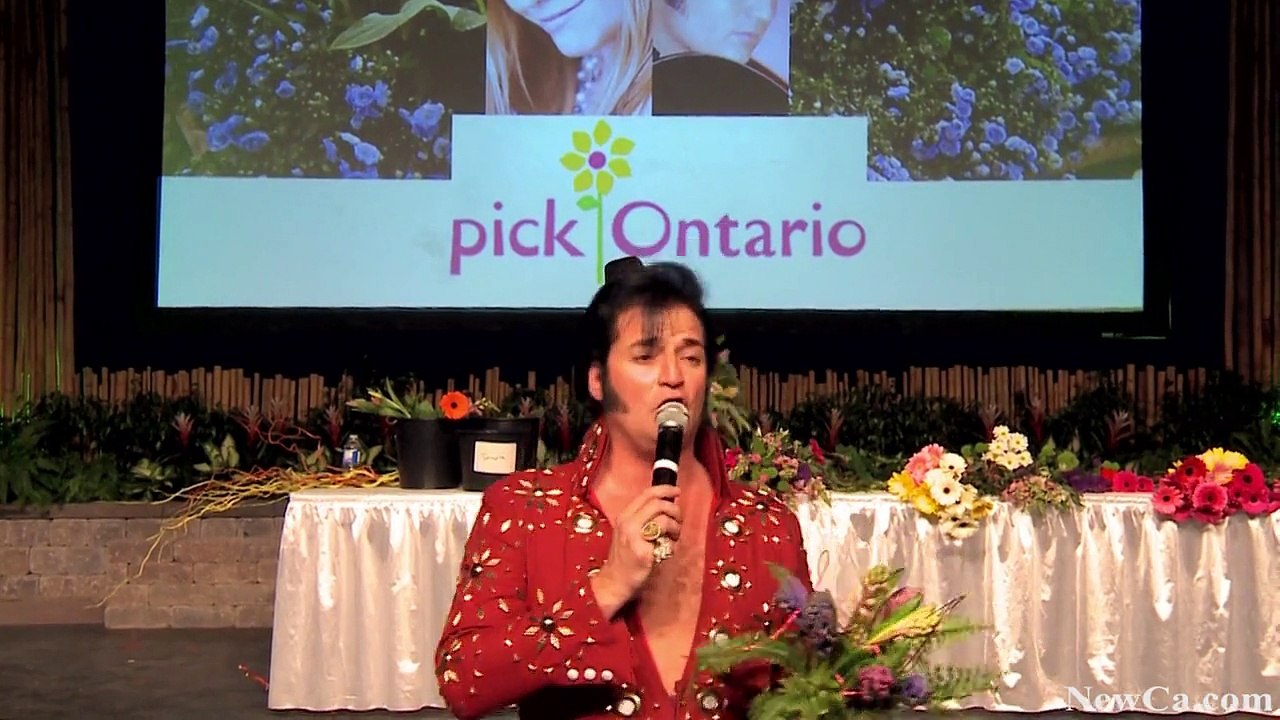 NewCa.com: 2015 Canada Blooms. Flowers and Gardens