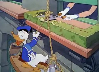 Donald Duck Window Cleaners 1940 (Low)