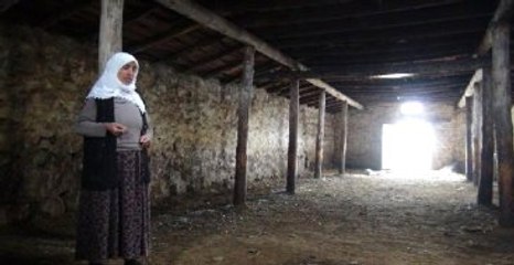 Krediyle Koyun Aldılar, Borç Ödemek İçin Gurbete Gittiler