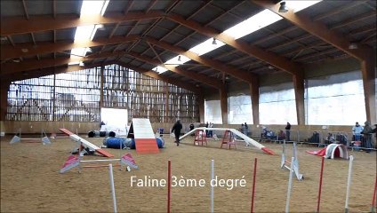 Vire concours Faline
