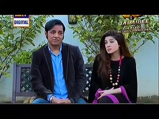 Bulbulay Episode 340 Full on Ary Digital
