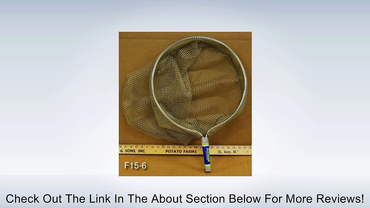 Frog Net Review