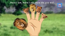 Finger Family Rhymes 3D Lion King Cartoons for Children - Lion Finger Family Children Nursery Rhymes