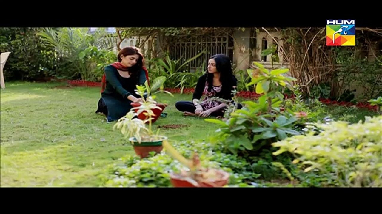 Nikah Episode 12 Full HUM TV