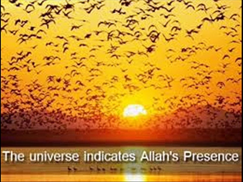 ALLAH is Creator