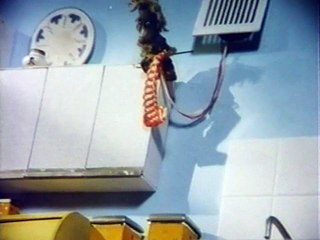 Возвращение домовёнка (1987)