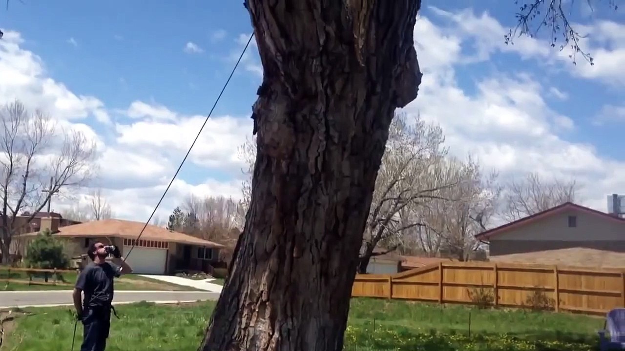 Pre-Treehouse Climbing