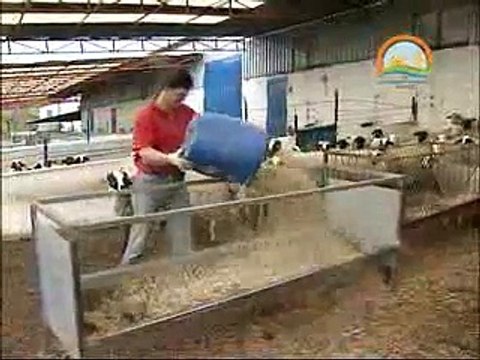 KÜÇÜKBAŞ HAYVANCILIKTA HAYVAN BARINAKLARI