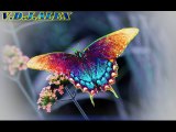 Crazy Town - Butterfly Instrumental