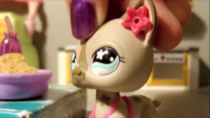 Petshop: Espionne ep2 "Entrainement spécial"