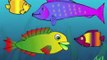 Meet Ploop The Baby Fish! Educational Cartoons for Kids and Children - childrens phim hoạt hình,만화 어린이
