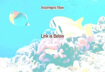 Incomepro Now PDF (Get It Now)