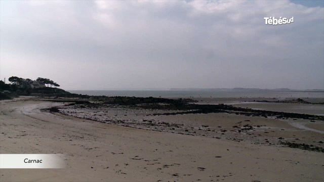 Marée du siècle. Carnac : pêcheurs et promeneurs envahissent l'estran