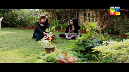 Nikah Episode 12 on Hum Tv in High Quality 22nd March 2015