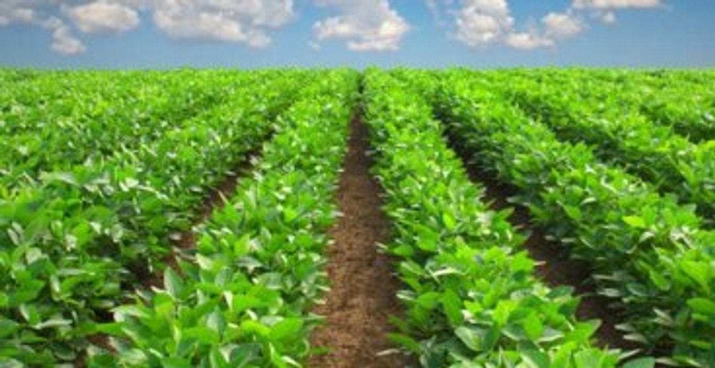 Tarım Bakanlığı Güneş Enerjisiyle Çalışan Sulama Makinesi Üretti