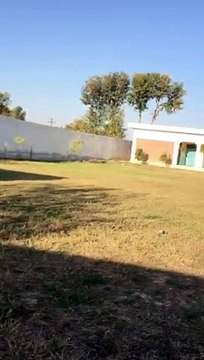 VID-20141215-WA0004.mp4