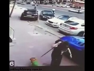 Bu Kediler Kung Fu Biliyor