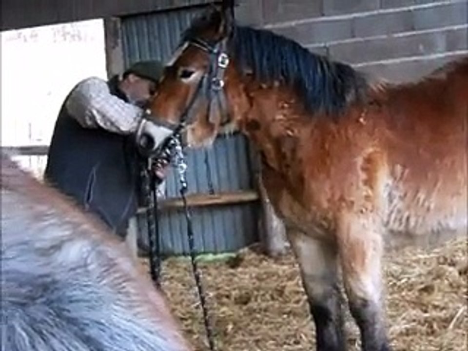 Elégant et Everest 1