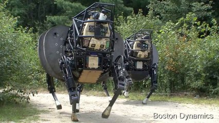 LS3 - Legged Squad Support System