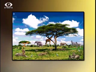 Νο 82 Οσα Μυθια (ΤΑΞΙΔΙ ΣΤΗΝ ΑΦΡΙΚΗ)