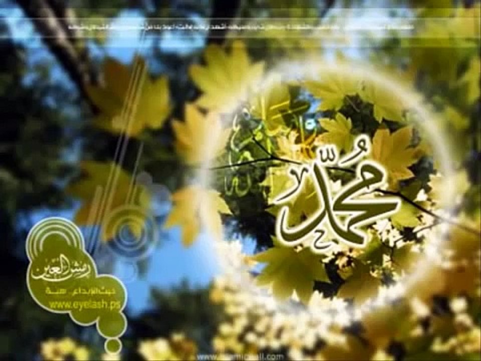 Shah-e-Madina - Milad Raza qadri