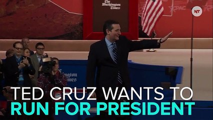 Here Are Ted Cruz's Absurd Thoughts On Pretty Much Everything