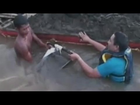 ABS-CBN Regional: Public Service Programs