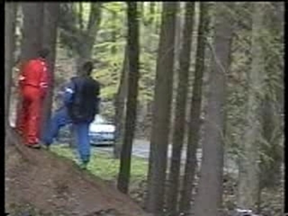 rally crash