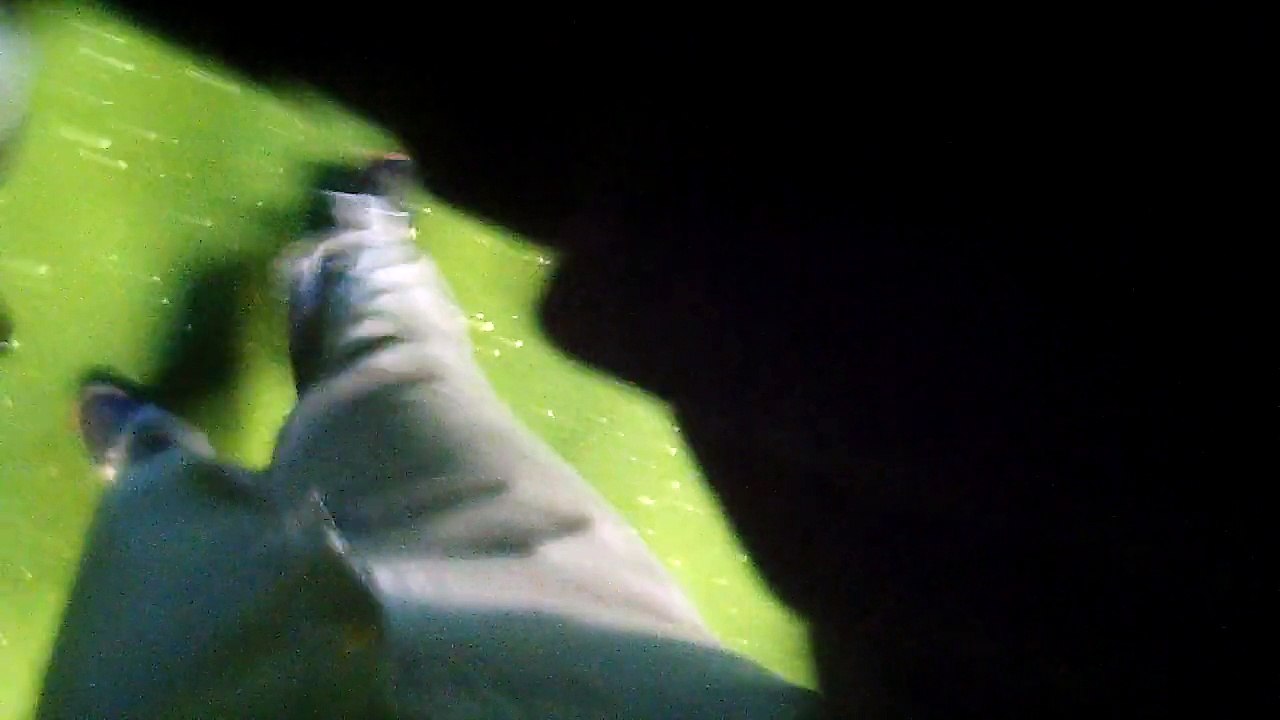 Votre session de paintball B023220315GOPA0007