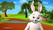 Rabbit and Tortoise Story - 3D Animation Panchatantra and Aesop Fables for children