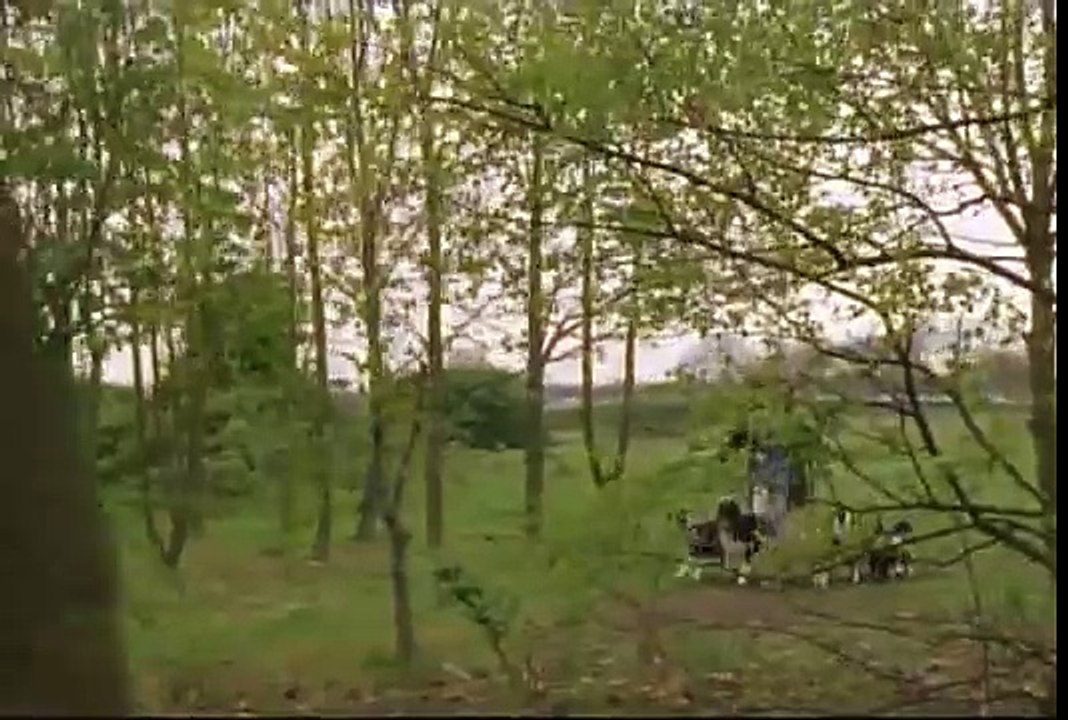 NS-The Jury E2