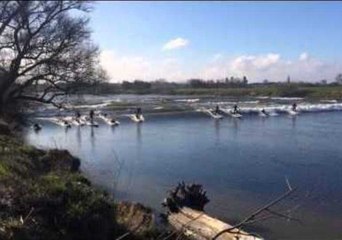 High Tide Causes Surge on UK River