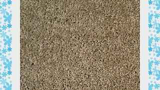 Carpet Quality Feltback Twist Mid Beige