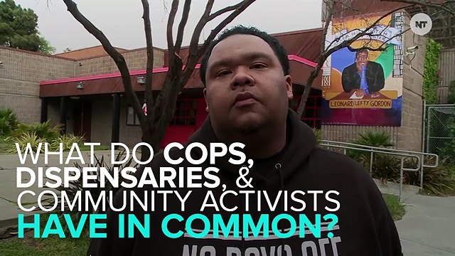 Medical Marijuana Dispensaries Funded A Gun Buyback In The Bay Area